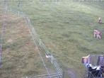 Archiv Foto Webcam Schlepplifte in Sinswang 09:00