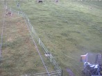 Archiv Foto Webcam Schlepplifte in Sinswang 11:00