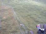 Archiv Foto Webcam Schlepplifte in Sinswang 13:00