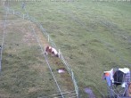 Archiv Foto Webcam Schlepplifte in Sinswang 08:00