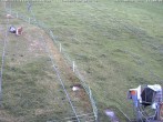 Archiv Foto Webcam Schlepplifte in Sinswang 10:00