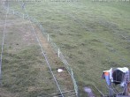 Archiv Foto Webcam Schlepplifte in Sinswang 11:00