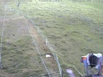 Archiv Foto Webcam Schlepplifte in Sinswang 13:00