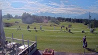 Archived image Webcam Crans Montana - Golf Course 02:00