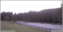 Archived image Webcam Pokljuka: Biathlon Stadium Entrance 05:00