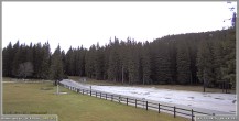 Archived image Webcam Pokljuka: Biathlon Stadium Entrance 06:00