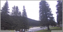 Archiv Foto Webcam Pokljuka: Wetterstation am Biathlonstadion 06:00