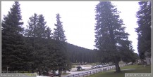 Archiv Foto Webcam Pokljuka: Wetterstation am Biathlonstadion 11:00