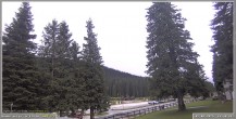 Archiv Foto Webcam Pokljuka: Wetterstation am Biathlonstadion 17:00