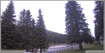 Archiv Foto Webcam Pokljuka: Wetterstation am Biathlonstadion 19:00