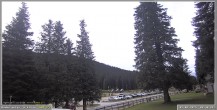 Archived image Webcam Pokljuka - Biathlon Center Weather Station 09:00
