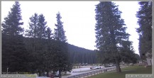 Archived image Webcam Pokljuka - Biathlon Center Weather Station 00:00