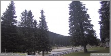 Archiv Foto Webcam Pokljuka: Wetterstation am Biathlonstadion 07:00