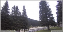 Archiv Foto Webcam Pokljuka: Wetterstation am Biathlonstadion 09:00