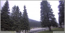Archiv Foto Webcam Pokljuka: Wetterstation am Biathlonstadion 11:00