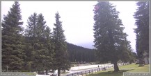Archiv Foto Webcam Pokljuka: Wetterstation am Biathlonstadion 13:00