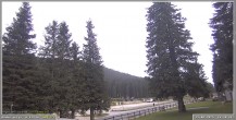 Archiv Foto Webcam Pokljuka: Wetterstation am Biathlonstadion 17:00