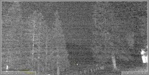 Archiv Foto Webcam Pokljuka: Wetterstation am Biathlonstadion 21:00