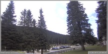 Archiv Foto Webcam Pokljuka: Wetterstation am Biathlonstadion 08:00