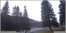 Archiv Foto Webcam Pokljuka: Wetterstation am Biathlonstadion 05:00