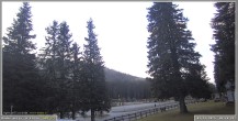Archiv Foto Webcam Pokljuka: Wetterstation am Biathlonstadion 06:00