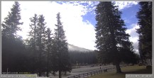 Archiv Foto Webcam Pokljuka: Wetterstation am Biathlonstadion 07:00