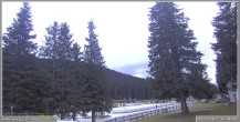Archiv Foto Webcam Pokljuka: Wetterstation am Biathlonstadion 15:00