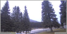 Archiv Foto Webcam Pokljuka: Wetterstation am Biathlonstadion 05:00