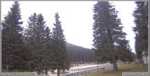 Archiv Foto Webcam Pokljuka: Wetterstation am Biathlonstadion 06:00