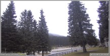 Archiv Foto Webcam Pokljuka: Wetterstation am Biathlonstadion 07:00