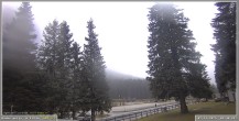 Archiv Foto Webcam Pokljuka: Wetterstation am Biathlonstadion 09:00