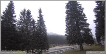 Archiv Foto Webcam Pokljuka: Wetterstation am Biathlonstadion 11:00