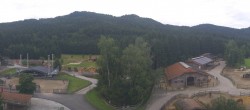Archiv Foto Webcam Gut Aiderbichl bei Henndorf am Wallersee 06:00