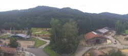 Archiv Foto Webcam Gut Aiderbichl bei Henndorf am Wallersee 09:00