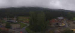 Archiv Foto Webcam Gut Aiderbichl bei Henndorf am Wallersee 11:00
