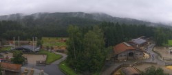 Archiv Foto Webcam Gut Aiderbichl bei Henndorf am Wallersee 15:00