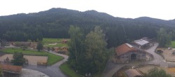 Archiv Foto Webcam Gut Aiderbichl bei Henndorf am Wallersee 07:00