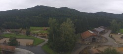 Archiv Foto Webcam Gut Aiderbichl bei Henndorf am Wallersee 08:00