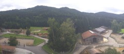 Archiv Foto Webcam Gut Aiderbichl bei Henndorf am Wallersee 11:00