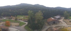 Archived image Webcam Henndorf - Gut Aiderbichl 07:00
