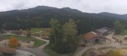 Archived image Webcam Henndorf - Gut Aiderbichl 11:00