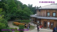 Archiv Foto Webcam Amethyst Welt Maissau 10:00