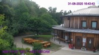 Archiv Foto Webcam Amethyst Welt Maissau 16:00