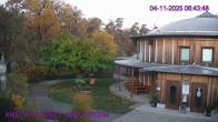 Archived image Webcam Amethyst World Maissau 05:00