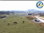 Archived image Webcam Gonten - Trails 11:00