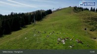 Archiv Foto Webcam Flying Cam: Wildschönau aus der Luft 06:00