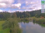 Archiv Foto Webcam DSV nordic aktiv Zentrum Althütte 10:00