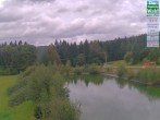 Archiv Foto Webcam DSV nordic aktiv Zentrum Althütte 13:00
