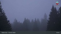Archived image Webcam Bodenmais - Chamer Hut 04:00