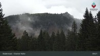 Archived image Webcam Bodenmais - Chamer Hut 08:00